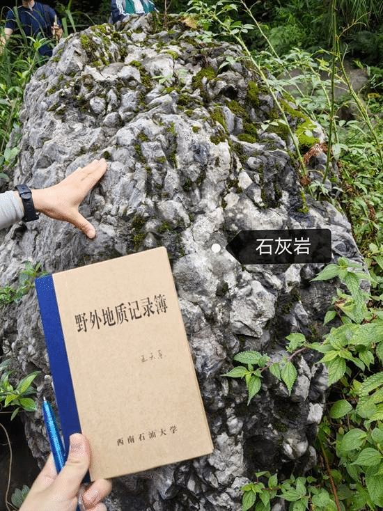 地图 AI 生成的内容可能不正确。