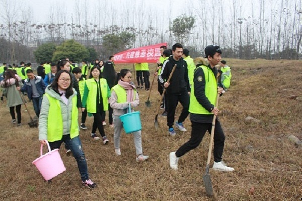 同学们一起植树