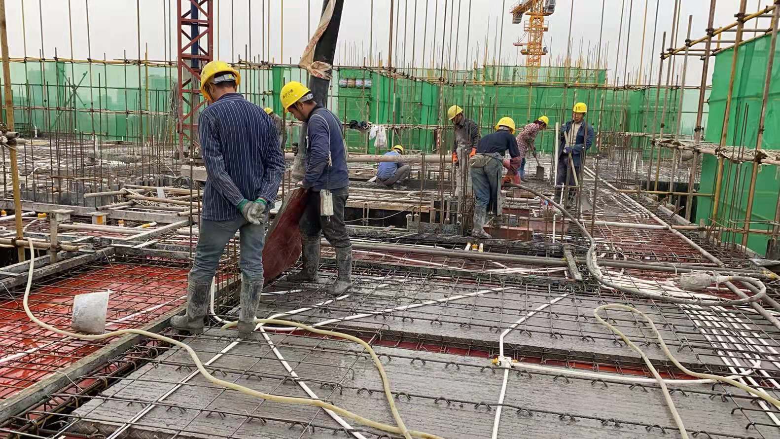 说明: 9bb5b5daf8e909d30d01a343ecea60b