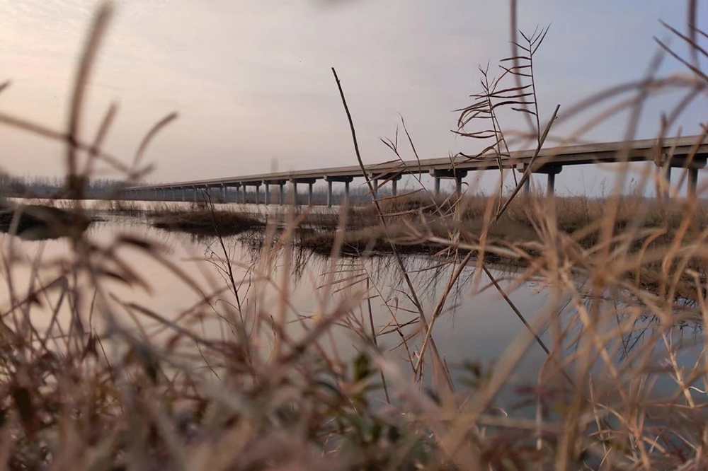 1586350081966_mh1586350255961