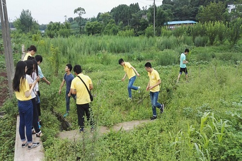 实践队员们在田间地头深入考察