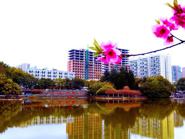 http://www.swpu.edu.cn/__local/B/4F/12/83EC5BC91D733D39C020DD74B37_370BD220_1E378.jpg