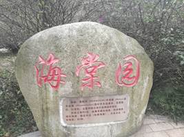 说明:IMG_20161127_104937.jpg