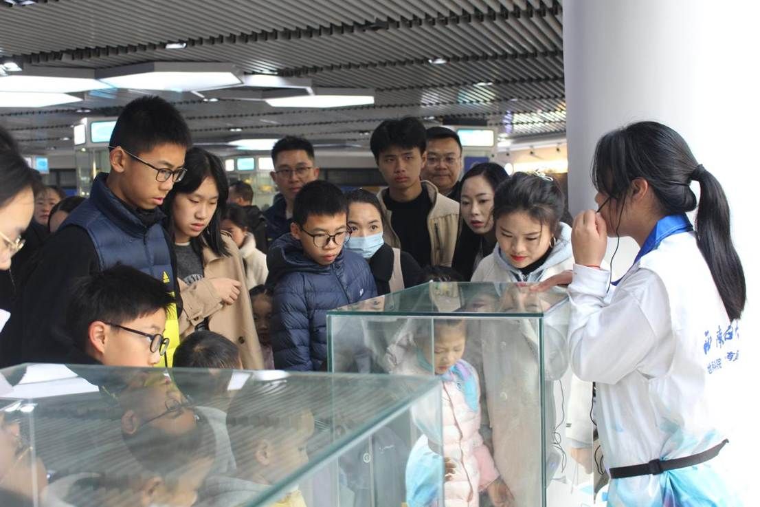 26b1137f111a5aadc356c9fc48fb2478