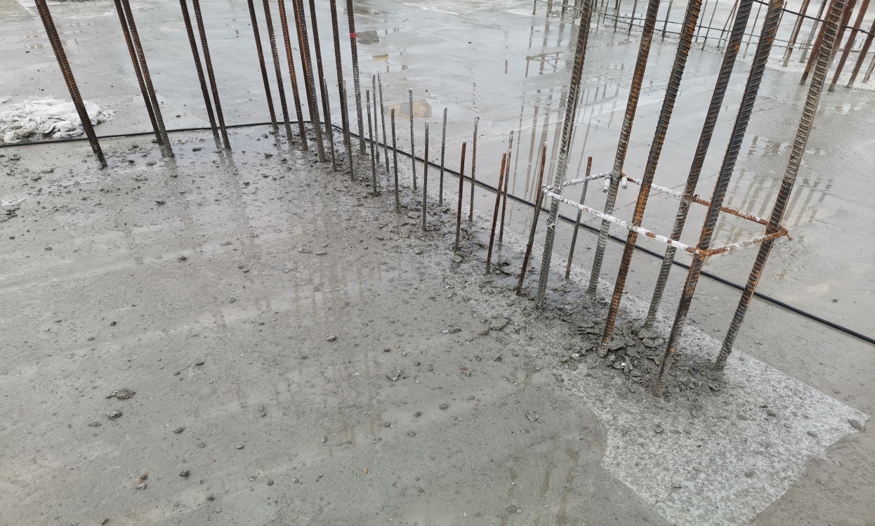 说明: IMG_20191022_083845