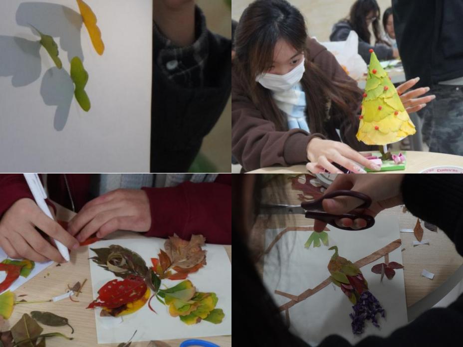 IMG_1867(20231127-112302)