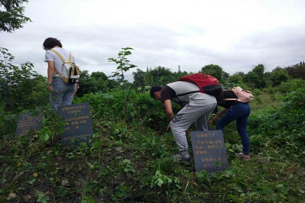 队员们在保护中心锄草
