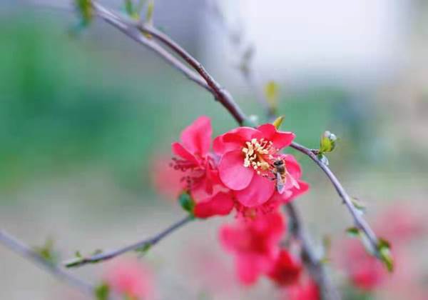 http://www.swpu.edu.cn/__local/D/04/70/366483565B7C79484941AAADA0D_EAA2FD3C_67FE.jpg