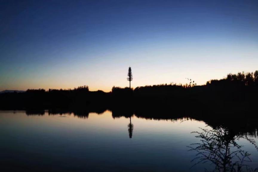 1586350088292_mh1586350231836