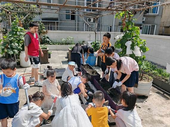 img_v3_02nf_84029ca4-e939-466d-9ae9-b74bc0273a6g