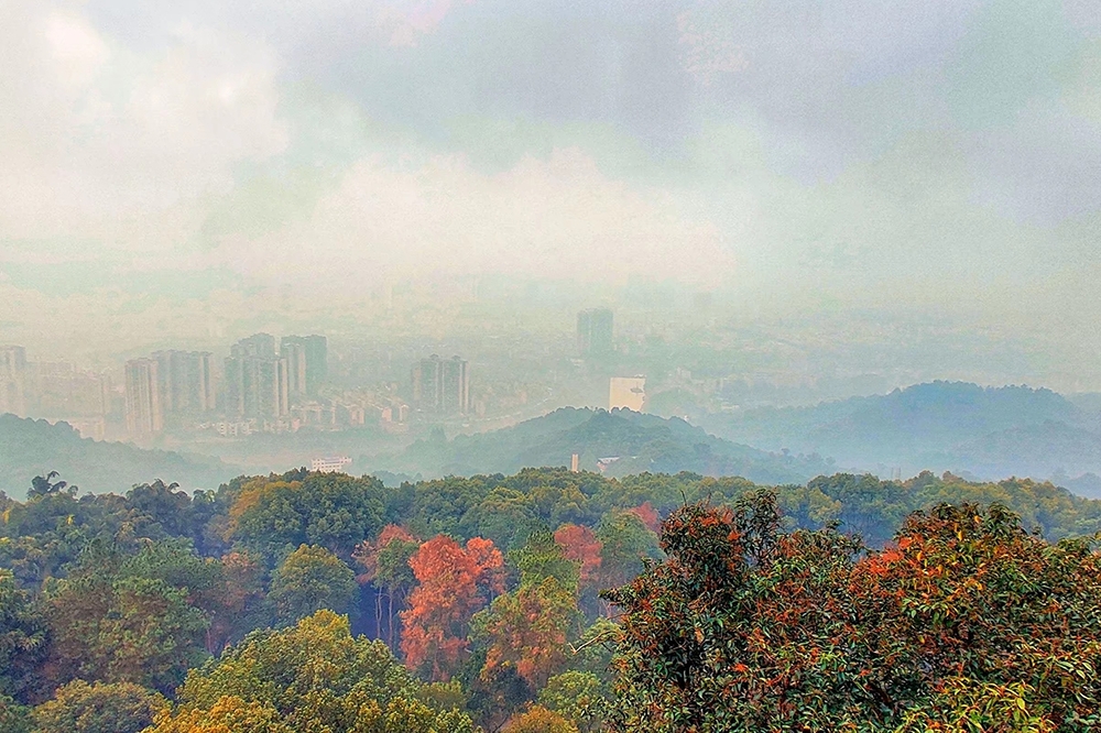 1586350098927_mh1586350315100