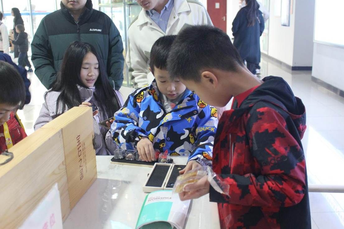 02e1c7c22c732671bc67890dab3b48c8