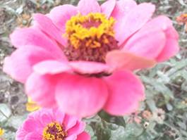 说明:IMG_20161127_105110.jpg