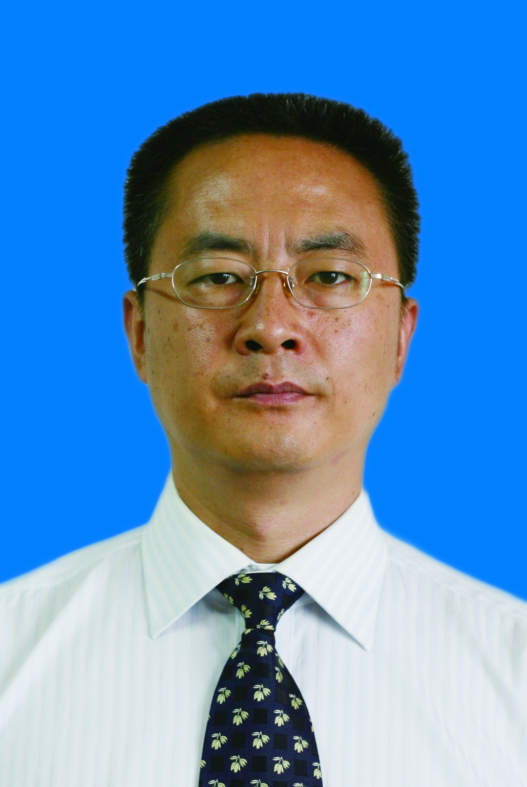 杨迎新