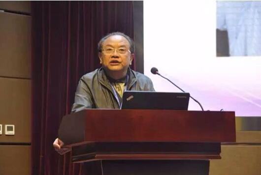 中国文艺评论家协会主席、中国传媒大学艺术研究院院长仲呈祥先生